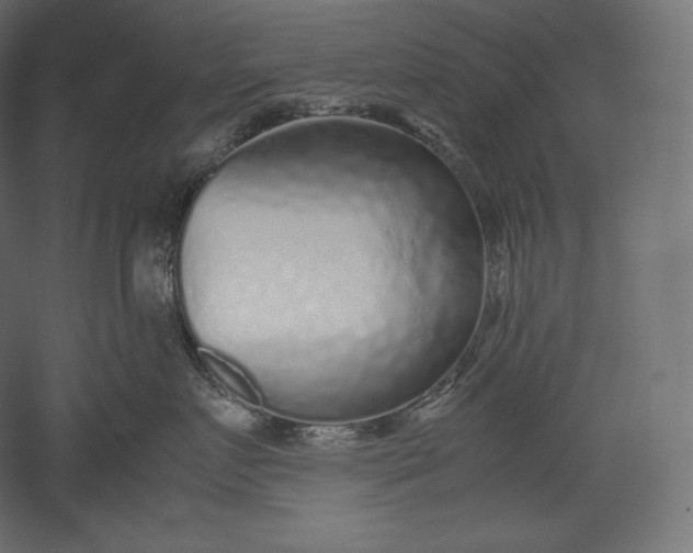 X0000051250719200507011652