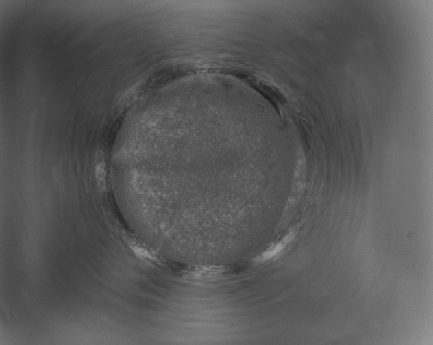 X0000051250720200507011652