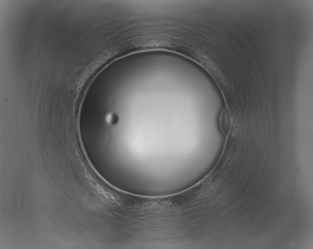 X0000051250721200507011651