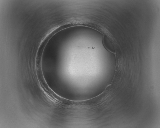 X0000051250722200507011651