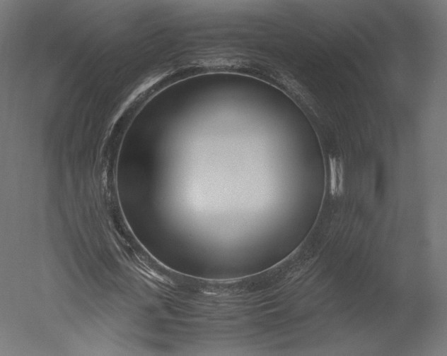 X0000051250723200507011651