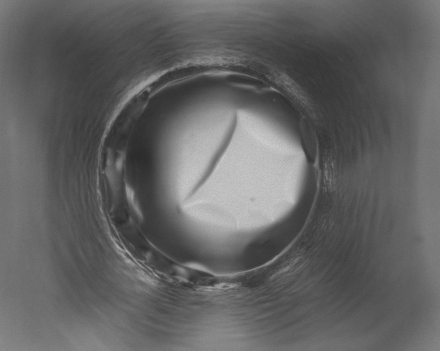 X0000051250724200507011651