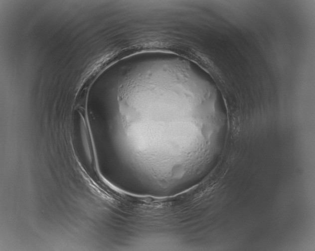 X0000051250725200507011651