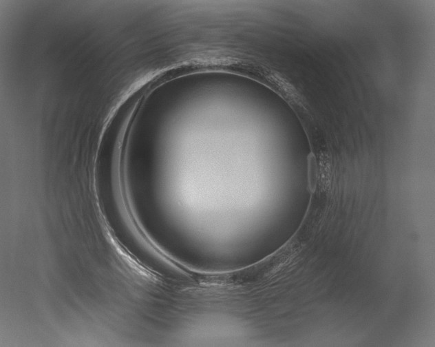 X0000051250726200507011651