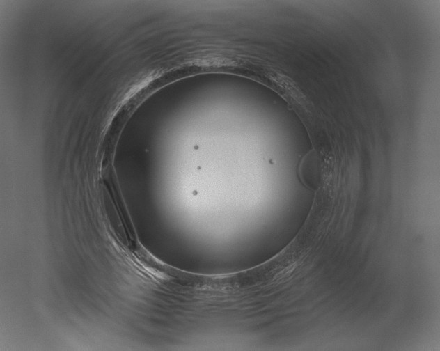 X0000051250727200507011651