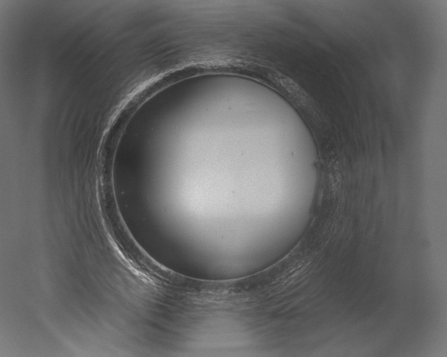 X0000051250728200507011651