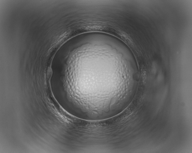 X0000051250729200507011651