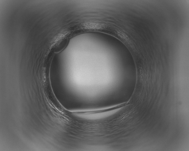 X0000051250731200507011651