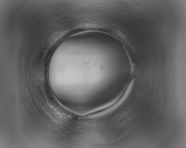 X0000051250732200507011651