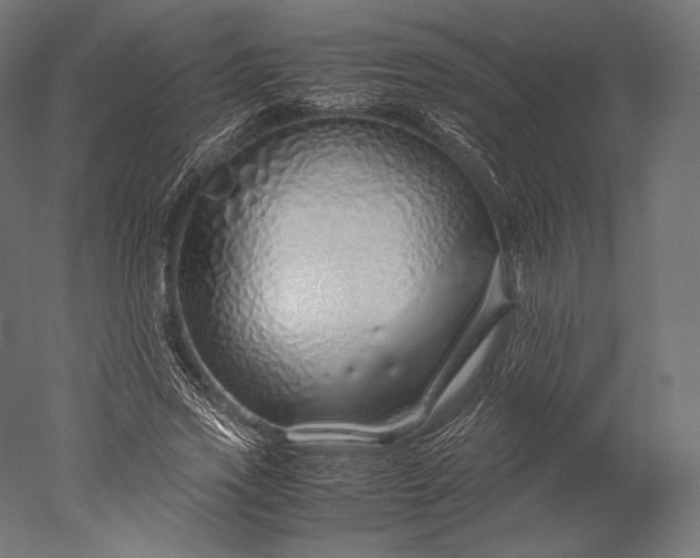 X0000051250733200507011651