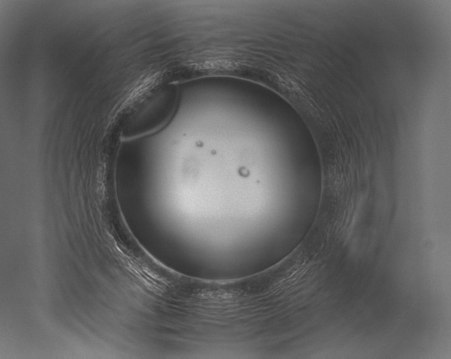 X0000051250735200507011651