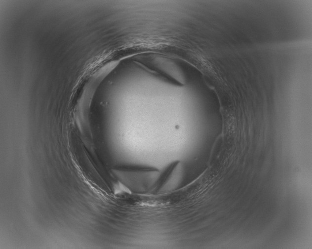 X0000051250736200507011652