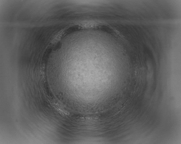 X0000051250737200507011652