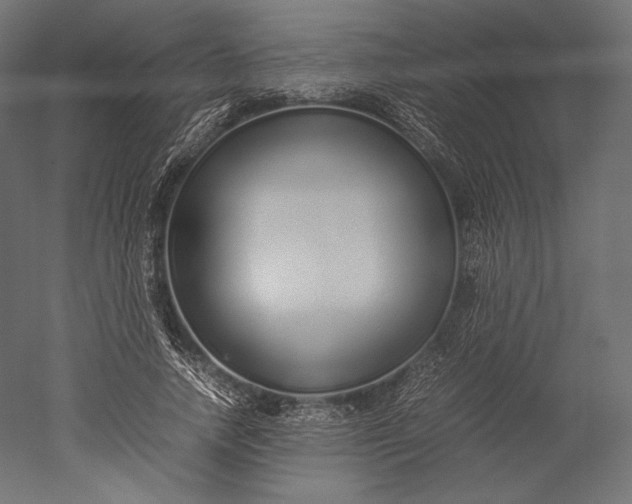 X0000051250738200507011652