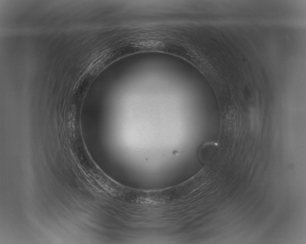 X0000051250739200507011652