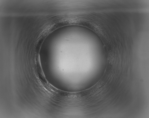 X0000051250740200507011652