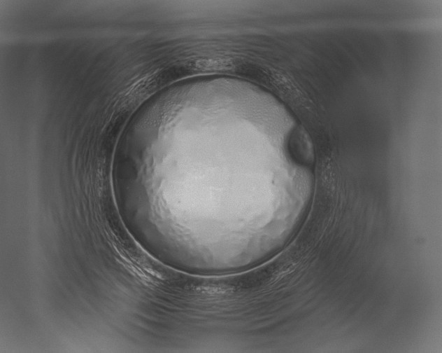 X0000051250741200507011652