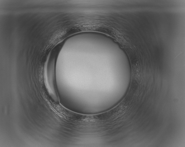 X0000051250742200507011652