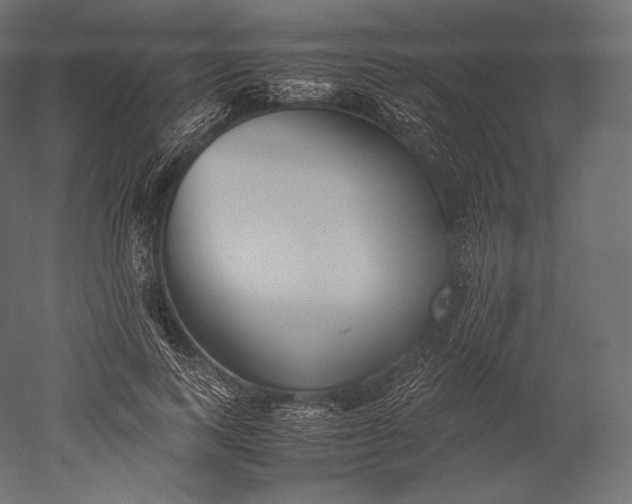 X0000051250743200507011652