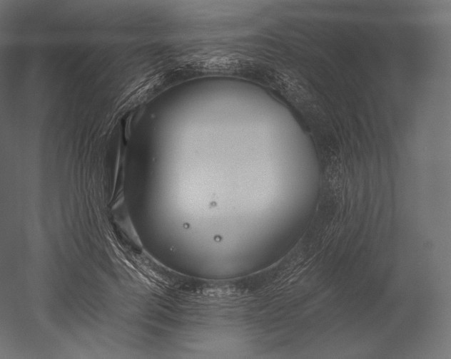 X0000051250744200507011652