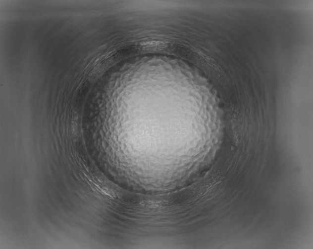 X0000051250745200507011652