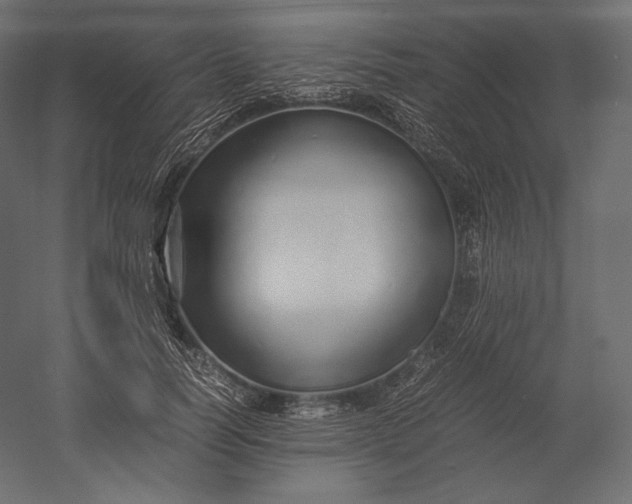 X0000051250746200507011652