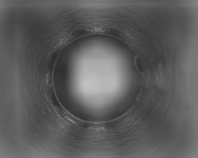 X0000051250747200507011652