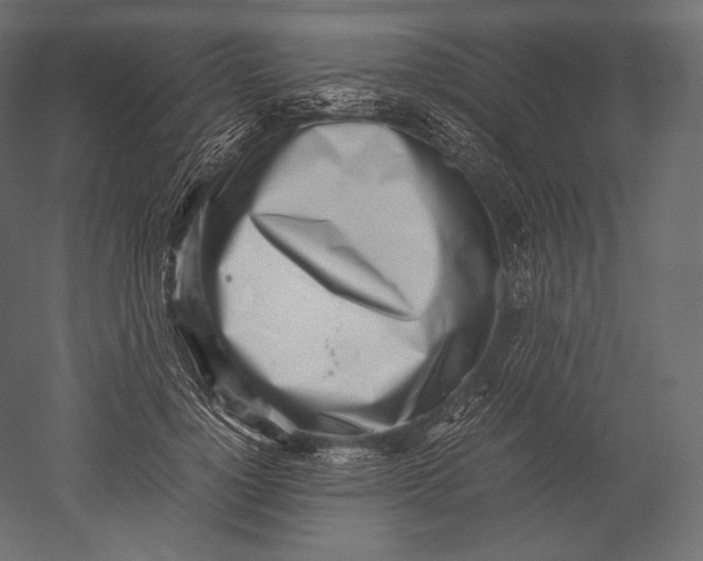 X0000051250748200507011652