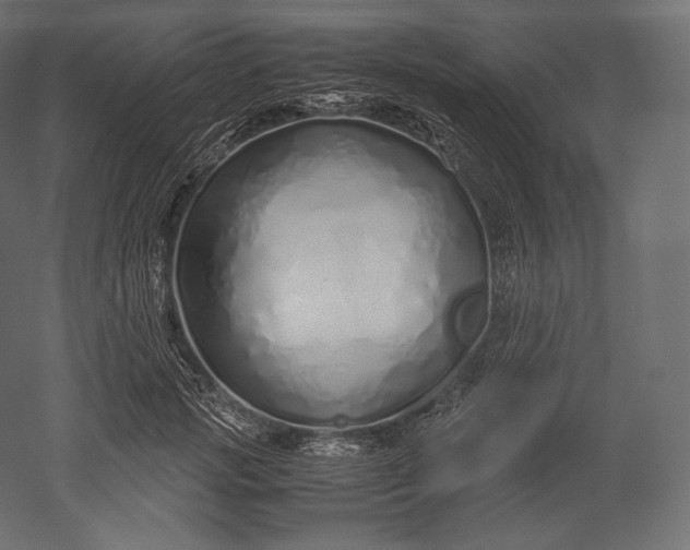 X0000051250749200507011652