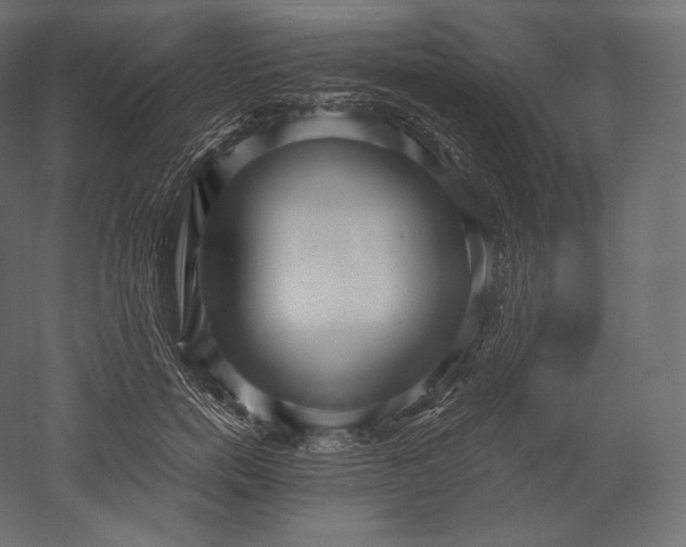 X0000051250750200507011652