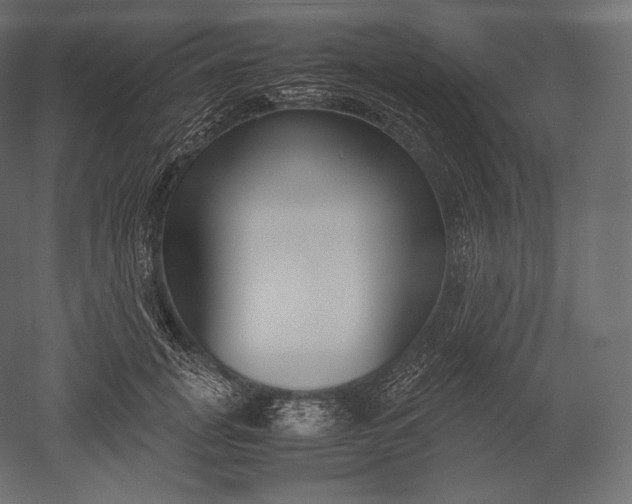 X0000051250751200507011652