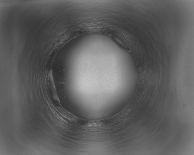 X0000051250752200507011652