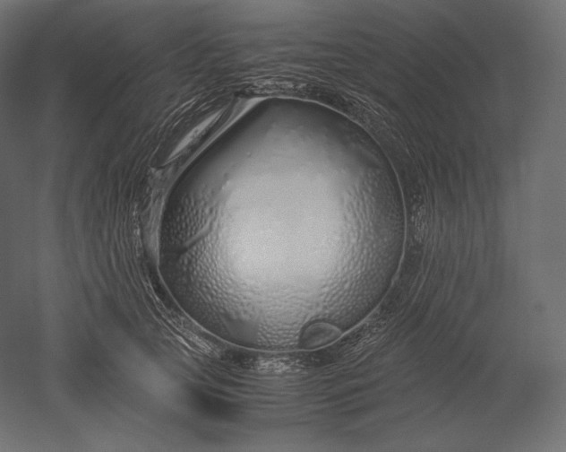 X0000051250753200507011652