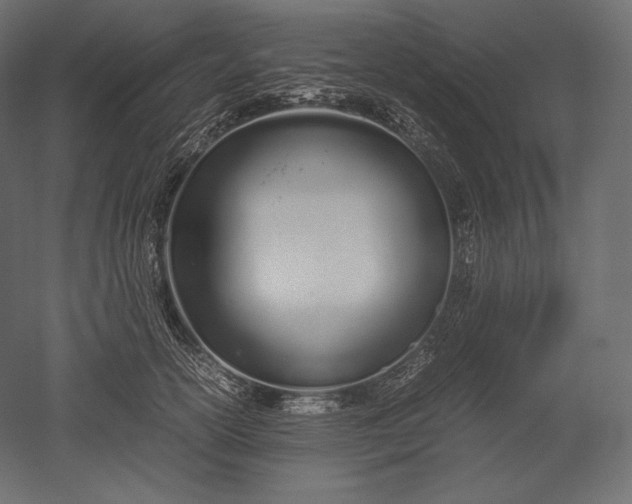 X0000051250754200507011652