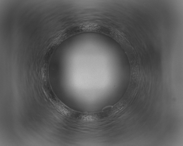 X0000051250755200507011652