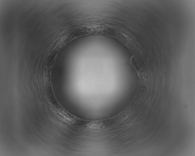 X0000051250756200507011652