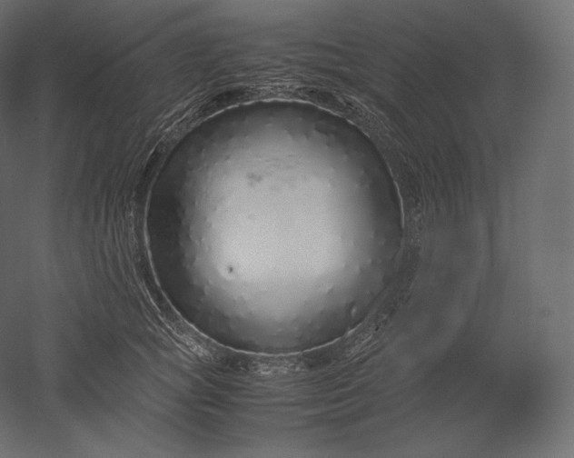 X0000051250757200507011652