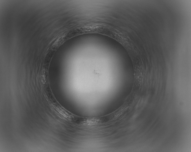 X0000051250758200507011652