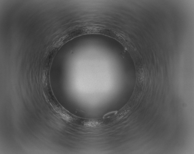 X0000051250759200507011652