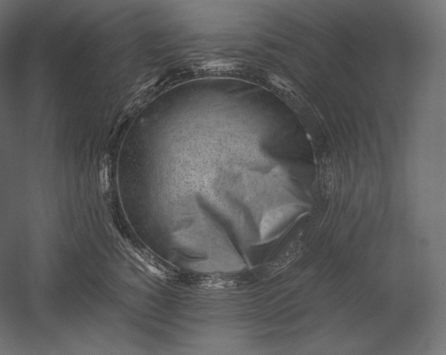 X0000051250760200507011652