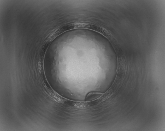 X0000051250761200507011652