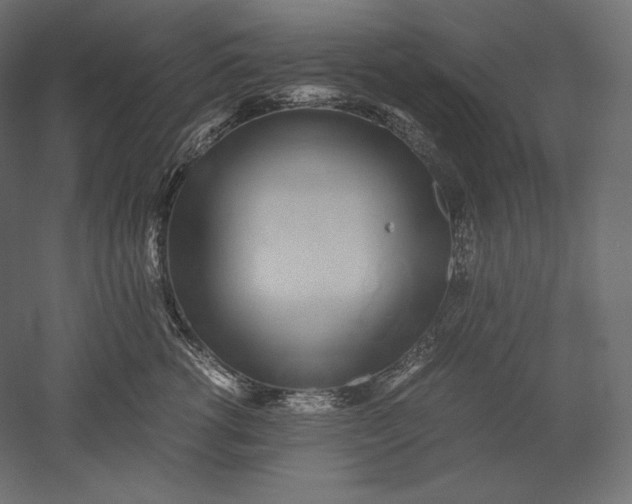 X0000051250762200507011652