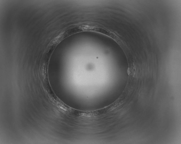 X0000051250763200507011652