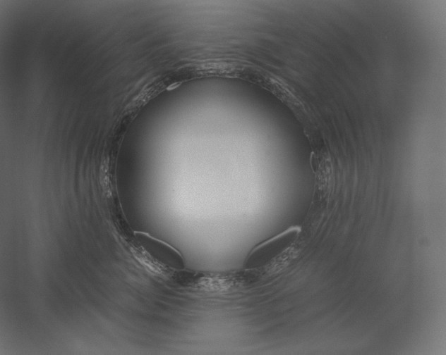 X0000051250764200507011652