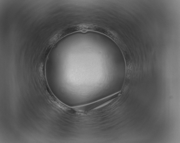 X0000051250765200507011652