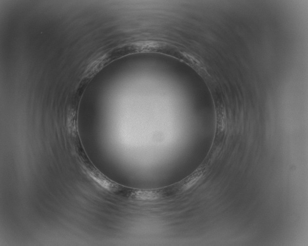 X0000051250766200507011652