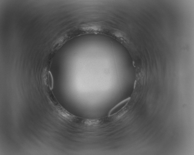 X0000051250767200507011652