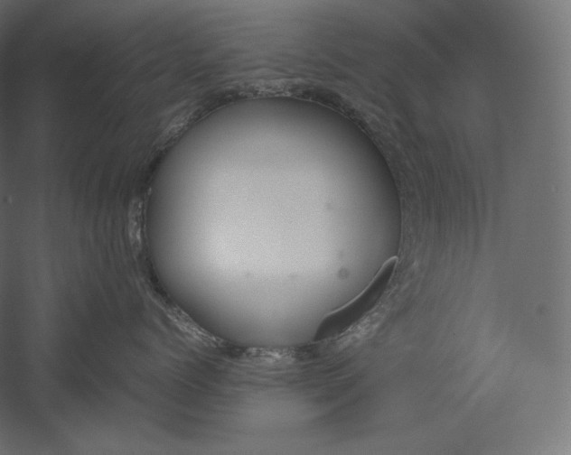 X0000051250768200507011652