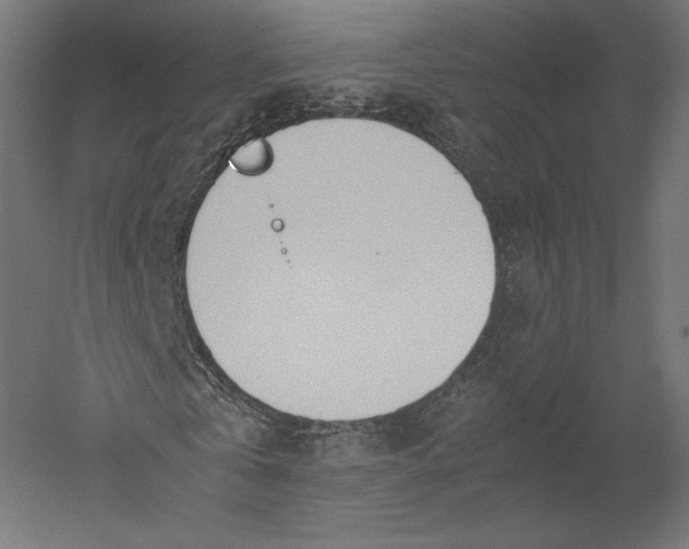 X0000051250769200507011651