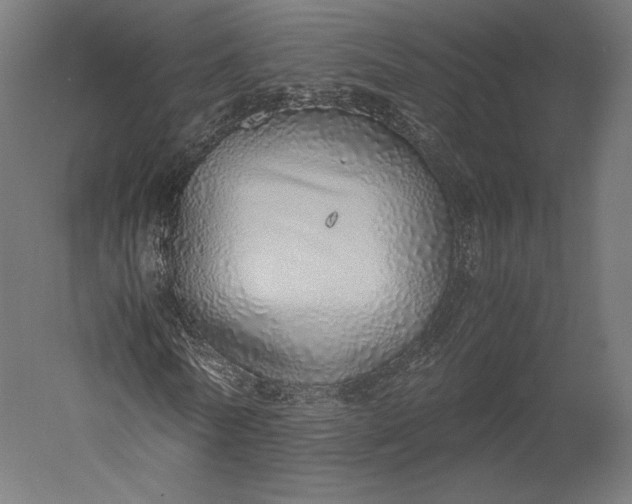 X0000051250770200507011651